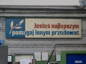 DSC00021
